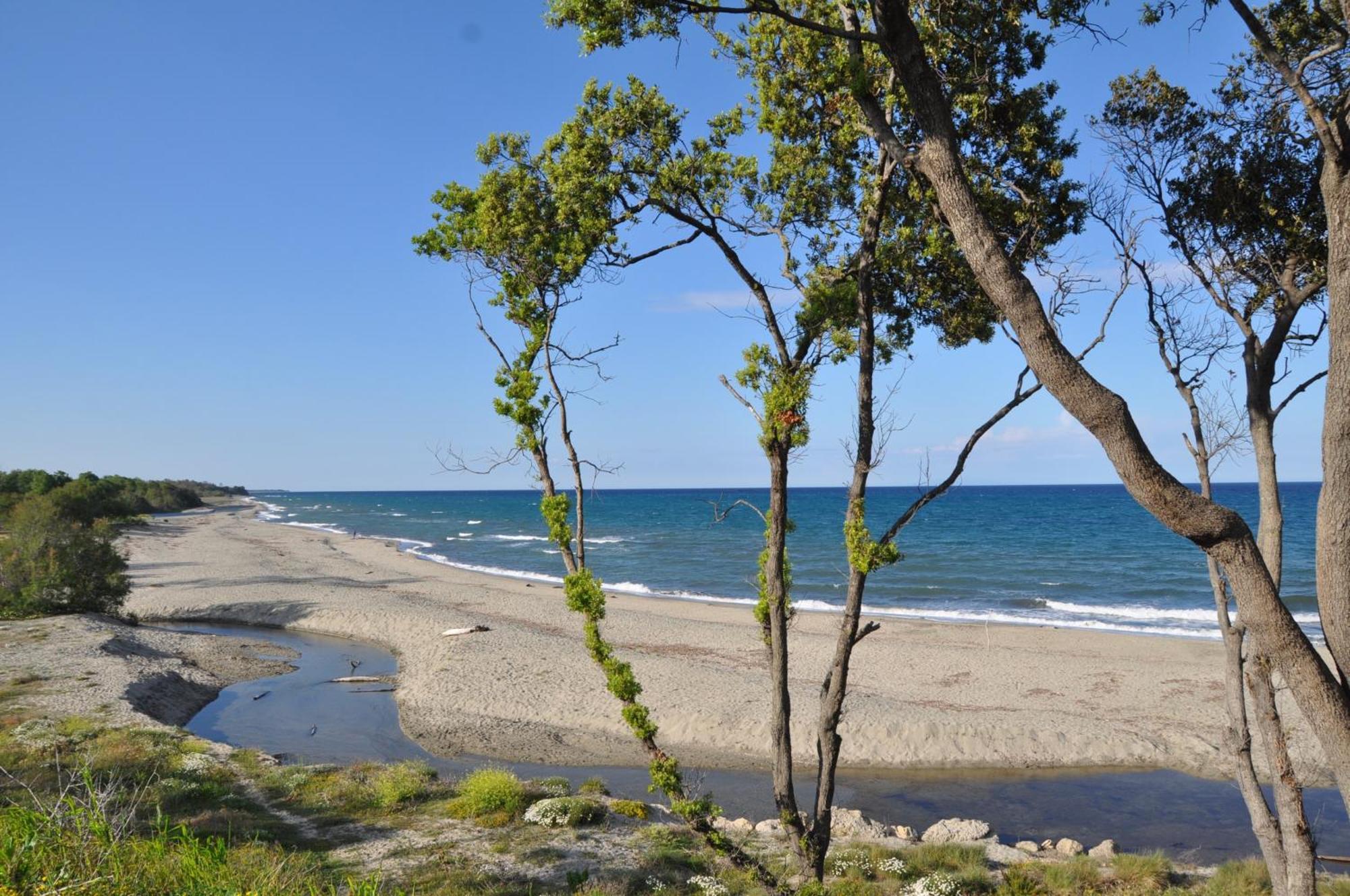 Apartamento En Bord De Sur Costa Serena N54 Linguizzetta