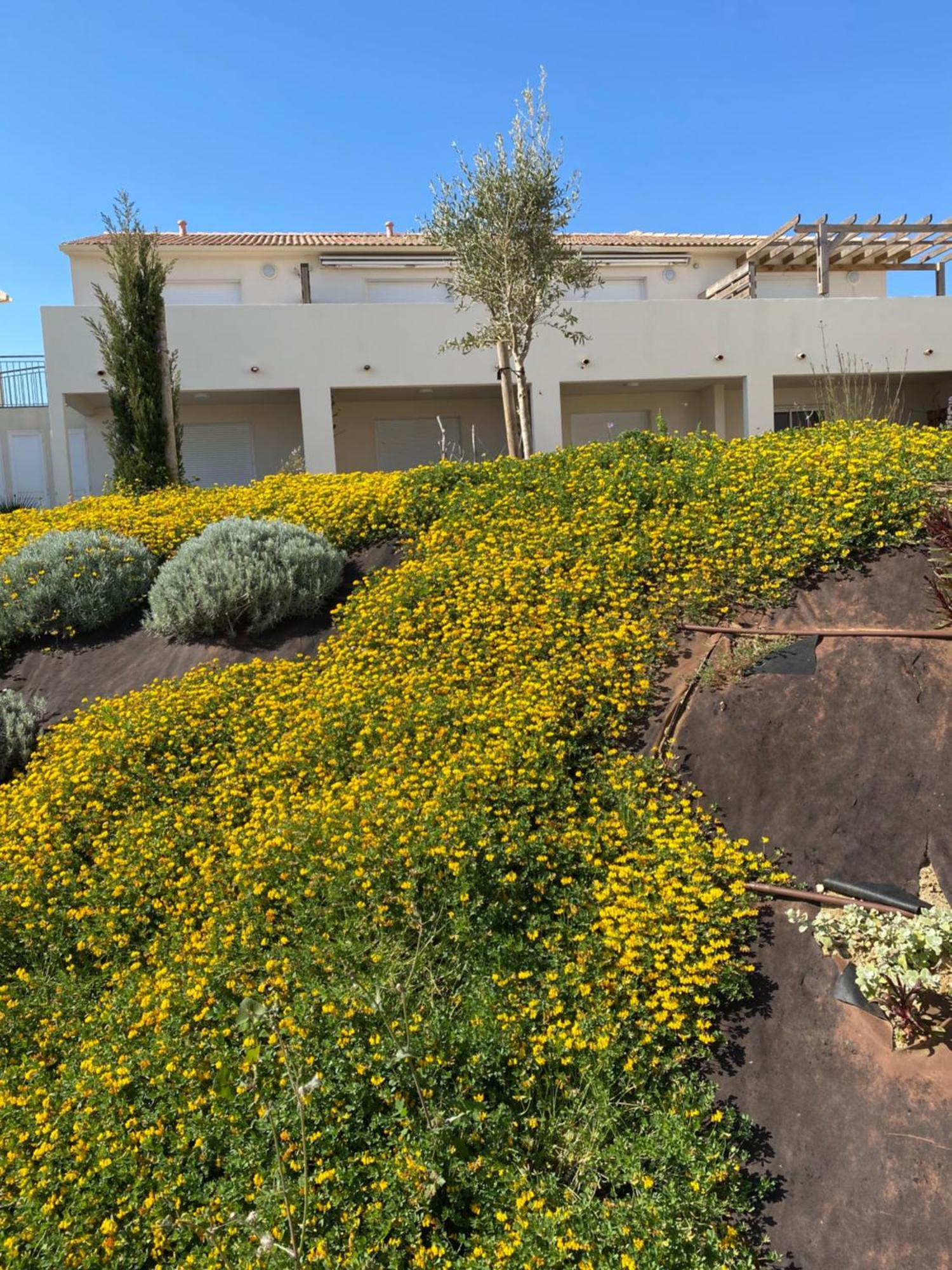 En Bord De Sur Costa Serena N54 Apartamento Linguizzetta